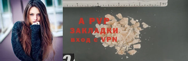прущие крисы Елизово