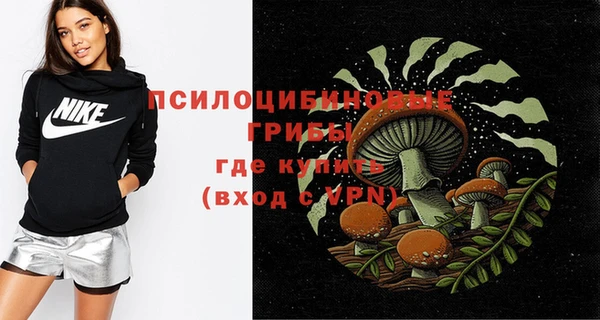соль курить ск Ельня