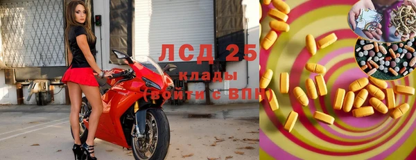 прущие крисы Елизово