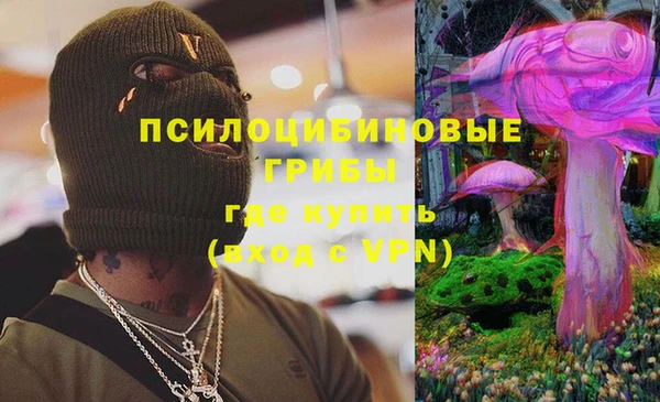 прущие крисы Елизово