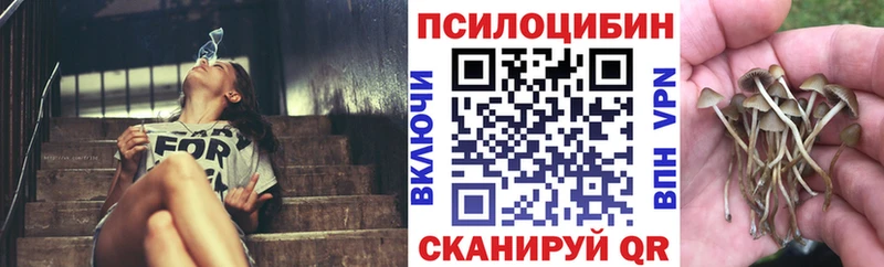 Галлюциногенные грибы Psilocybe  kraken зеркало  Сельцо 