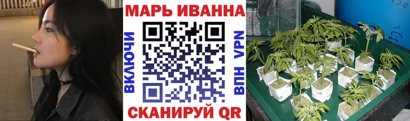 Канабис SATIVA & INDICA  Сельцо 